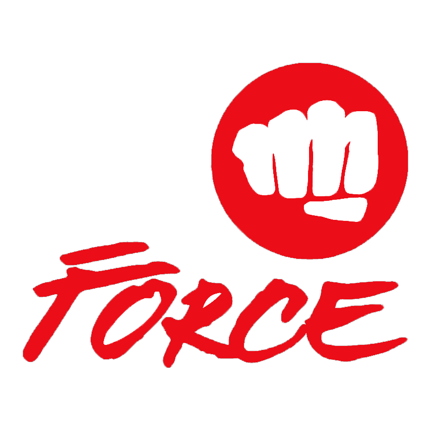 FORCE plesna šola